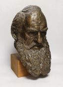 A 20th century bronze bust of Darwin, on stand, 42cm high
