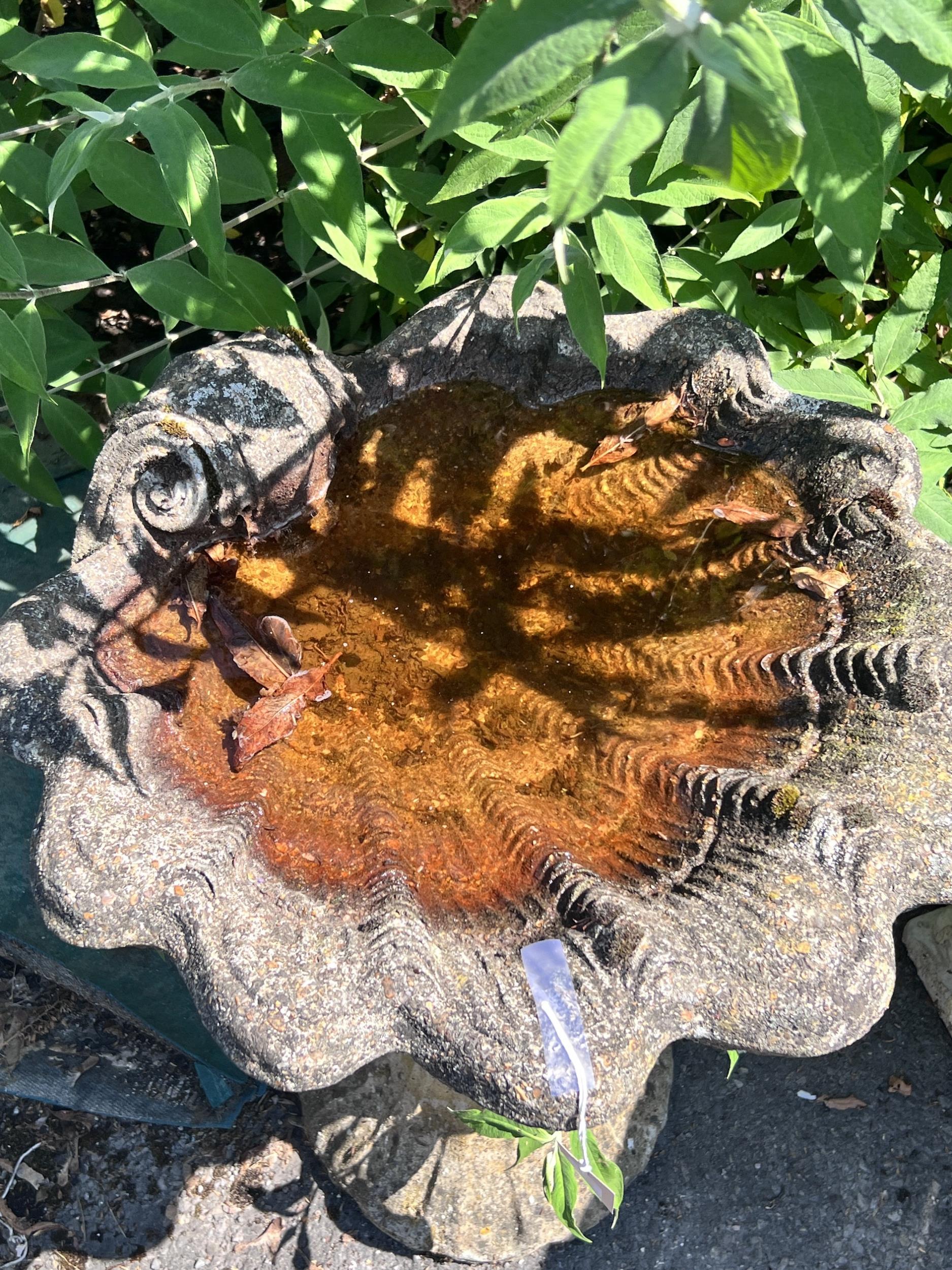 A reconstituted stone scallop shell bird bath, width 54cm, height 68cm - Image 6 of 6