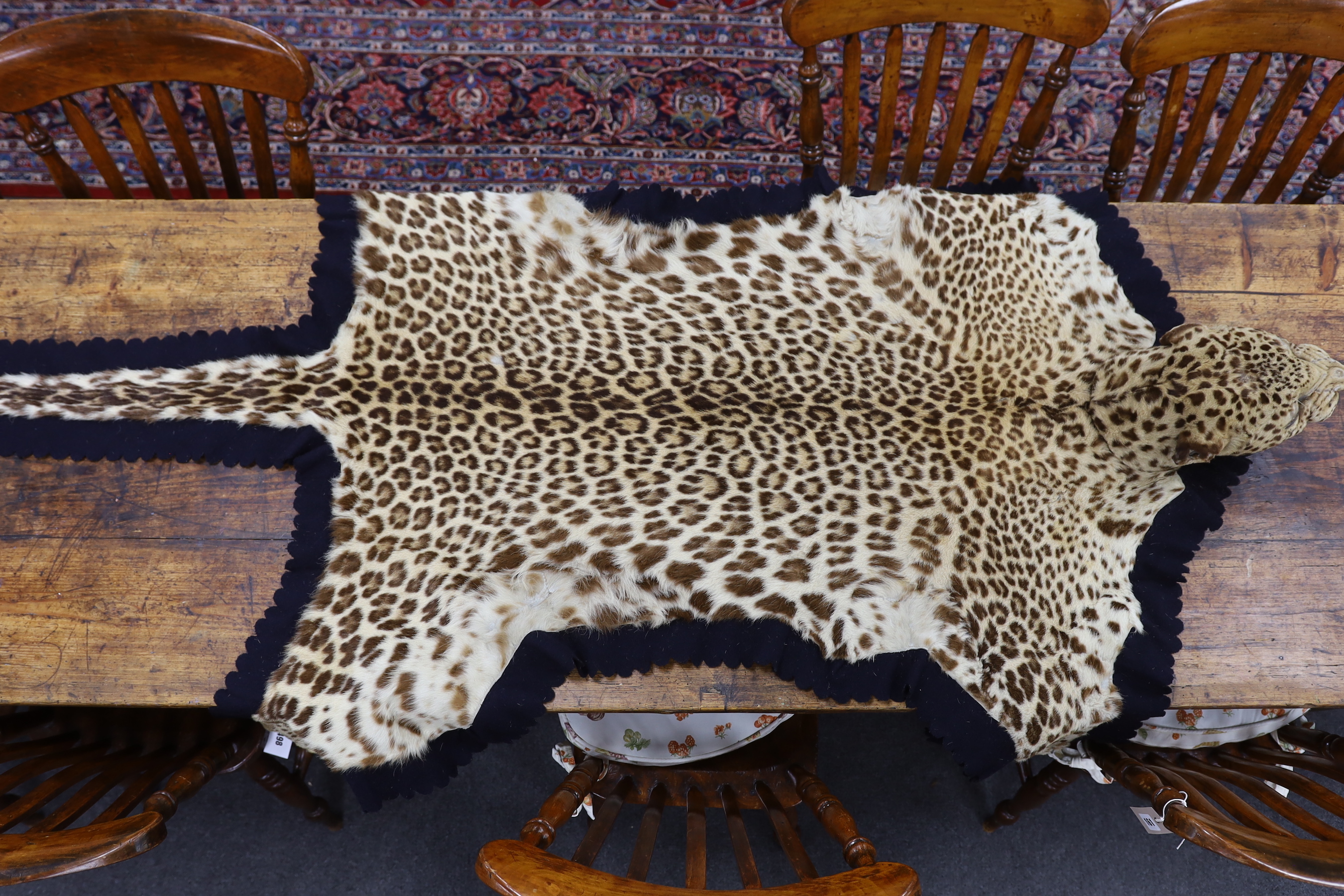 Taxidermy: Indian Leopard Skin Rug (Panthera pardus fusca), late 1930s, by Van Ingen & Van Ingen, - Image 3 of 4