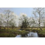 James Wright (b.1935), oil on canvas, River Tat at Cotsford neat Tattergett, signed, 50 x 76cm