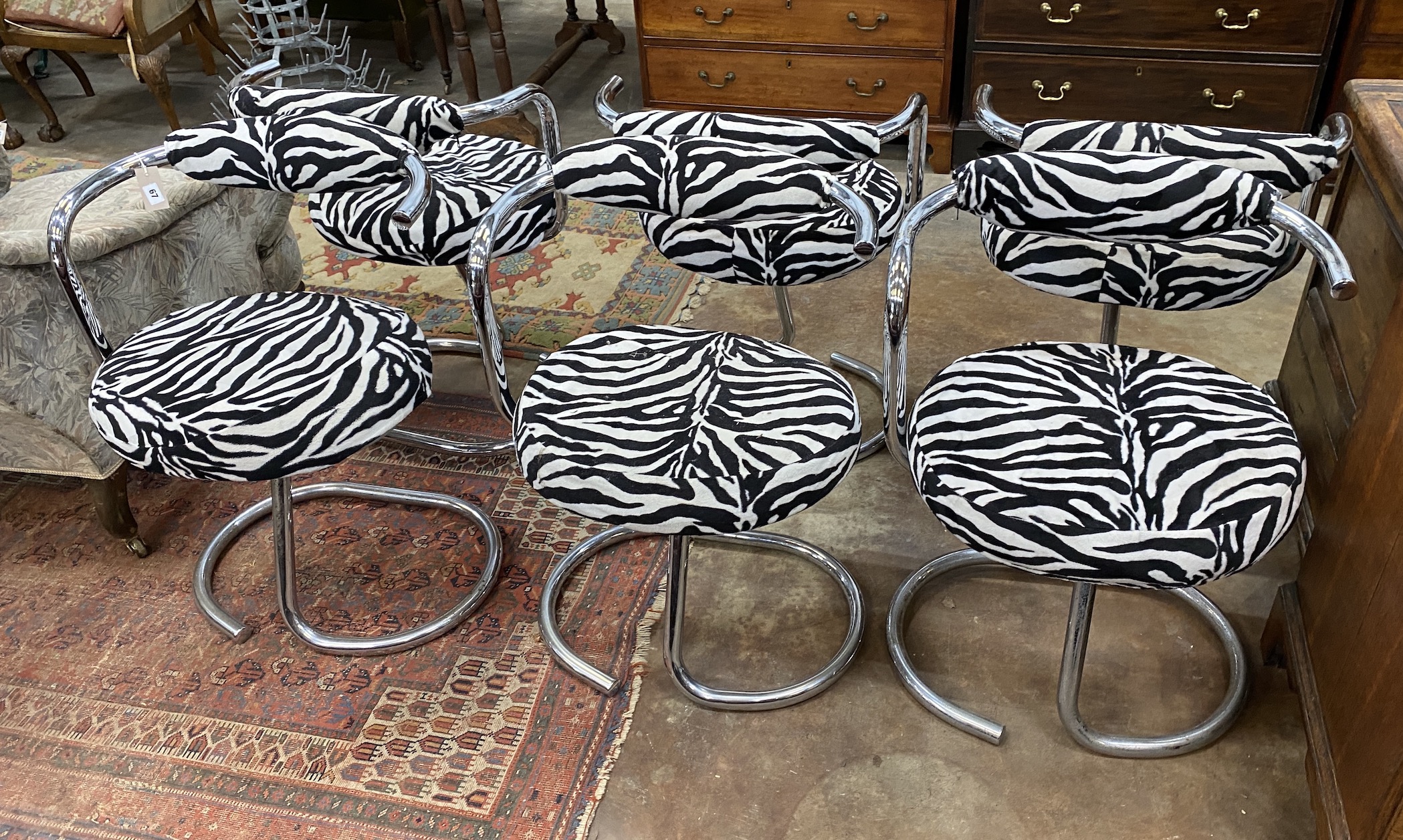 A set of six Cobra chairs, 1960s by Giotto Stoppinio, with faux zebra upholstery, width 58cm, height - Image 3 of 3