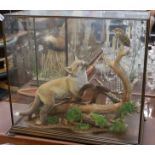 A taxidermy group of fox and bird, on a naturalistic setting, glass cased, overall 61 x 65 x 34cm