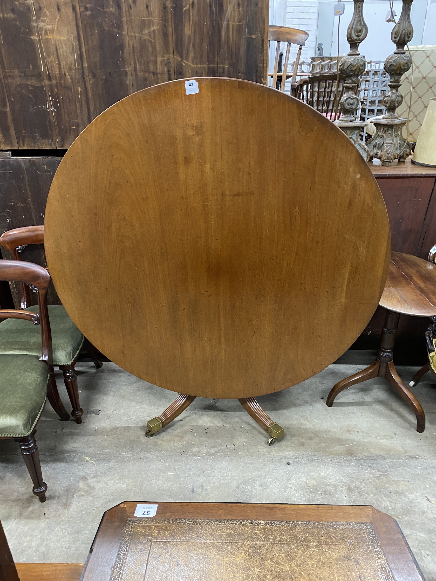 A Regency circular mahogany tilt top breakfast table, diameter 134cm, height 73cm - Image 3 of 3