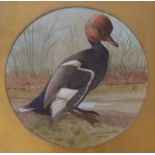 B.F. Marsden-Smedley, watercolour, Study of a duck, signed and dated 1918, tondo, 39cm