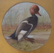 B.F. Marsden-Smedley, watercolour, Study of a duck, signed and dated 1918, tondo, 39cm