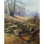 Tony Sheath (b.1946), oil on canvas, pheasant beating, signed, 59.5 x 49 cm