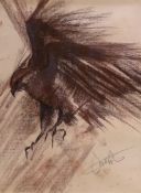 Late 20th century, pastel sketch of a falcon, indistinctly signed, 49.5 x 39 cm