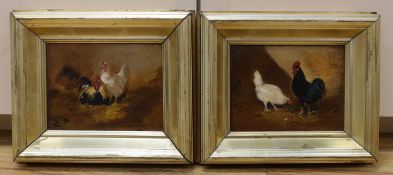 English School, early 20th century, a pair of oils on board, hens, 15 x 20.5cm
