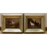 English School, early 20th century, a pair of oils on board, hens, 15 x 20.5cm