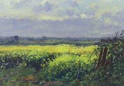 Edward Stamp, RI, acrylic 'Yellow Field', signed and dated 2010, 16.5 x 23 cm