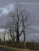 Peter Newcombe, oil on board, Study of trees on the roadside, signed and dated 1970, 28 x 21.5 cm