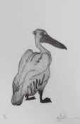 Modern British, limited edition etching and aquatint, Study of a pelican, signed, 49/120, 44 x 30cm