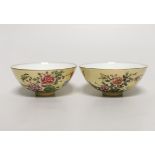 A pair of Chinese bowls, enamelled, 9cm diameter