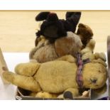 A collection of vintage and later teddy bears, some with articulated limbs, including a modern