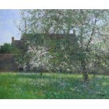 § § Charles Neal (b.1951), oil on canvas, 'Apple orchard, South Cerney, May', oil on canvas, signed,