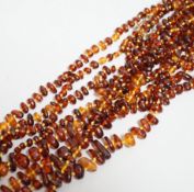 Five assorted single strand amber bead necklaces.