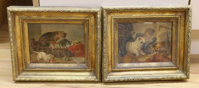 A pair of 19th century chromolithographs, 'Cats and Dogs', 19 x 14cm, ornate gilt frames