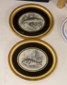 19th century, pair of monochrome fish engravings, each indistinctly inscribed verso, oval, 13.5 x