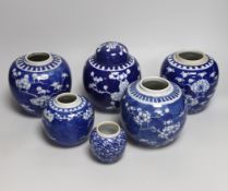 Five Chinese blue and white prunus ginger jars, one with cover- 15cm high and another jar