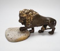 A parcel gilt bronze lion with stone base, 22cm wide