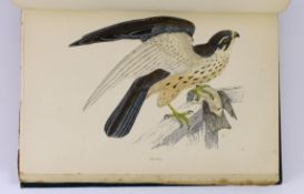 ° ° Morris, Rev. Francis Orpen - A History of British Birds (Cabinet Edition), 8 vols. 358 hand