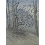 Harold H. Holden (1885–1977) watercolour, Woodland landscape, signed, 40 x 29cm