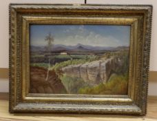 Oil on board, Mountainous rural landscape, 36 x 26cm, ornate gilt frame