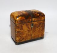 A George III tortoiseshell tea caddy with white metal mounts, 15cm wide