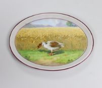 A Meissen oval dish of a duck in a cornfield, mark to the base, 18cm wide