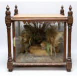 A taxidermic group of four squirrels in foliage, in a carved walnut cabinet, 41.5cm high x 40cm wide