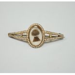 A Regency split pearl set gold brooch, inset with a hairwork bushel of wheat, 5.25cm