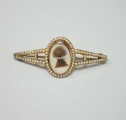 A Regency split pearl set gold brooch, inset with a hairwork bushel of wheat, 5.25cm