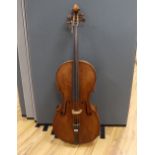 An early 20th century cello, back measures 76cm