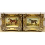 A pair of contemporary oil on boards, Studies of horses, 16.5 x 11.5cm, gilt framed