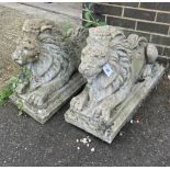 A pair of reconstituted stone recumbent lion garden ornaments, length 74cm, width 30cm, height 52cm