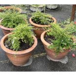 A set of five circular terracotta garden planters with incised Greek Key decoration, diameter