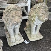 A pair of reconstituted stone seated lion garden ornaments, height 62cm