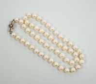 A single strand cultured pearl necklace, with diamond set white metal clasp, 48cm.