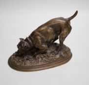 After Pierre Jules Mène (1810-1879). A bronze study of a hunting hound, 19cm wide
