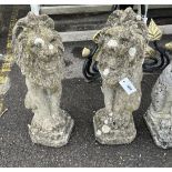 A pair of reconstituted stone seated lion garden ornaments, height 55cm