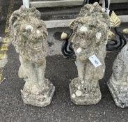 A pair of reconstituted stone seated lion garden ornaments, height 55cm