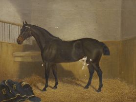 F. Clifton (19th century) oil on canvas, Study of a horse in a stable, signed and dated 1892, George