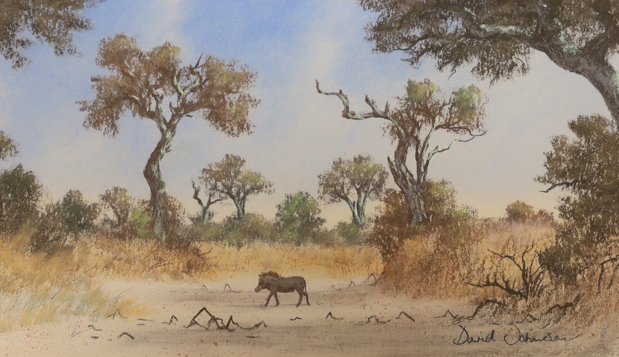 David Johnson (South African b.1958), pastel, Boar in a landscape, signed, 37cm x 21cm