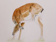 Fiona Champion (Contemporary), watercolour and pencil, ‘Balancing act’, signed, mounted, unframed,