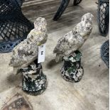 A pair of reconstituted stone parrot garden ornaments, height 32cm
