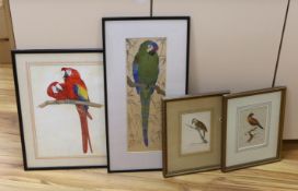 Martin E. Philipp (1887-1978), watercolour, Parrot, another by Jayne Yaxley and two similar 19th