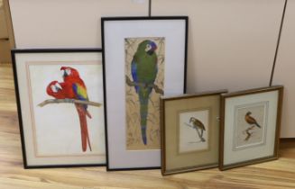 Martin E. Philipp (1887-1978), watercolour, Parrot, another by Jayne Yaxley and two similar 19th