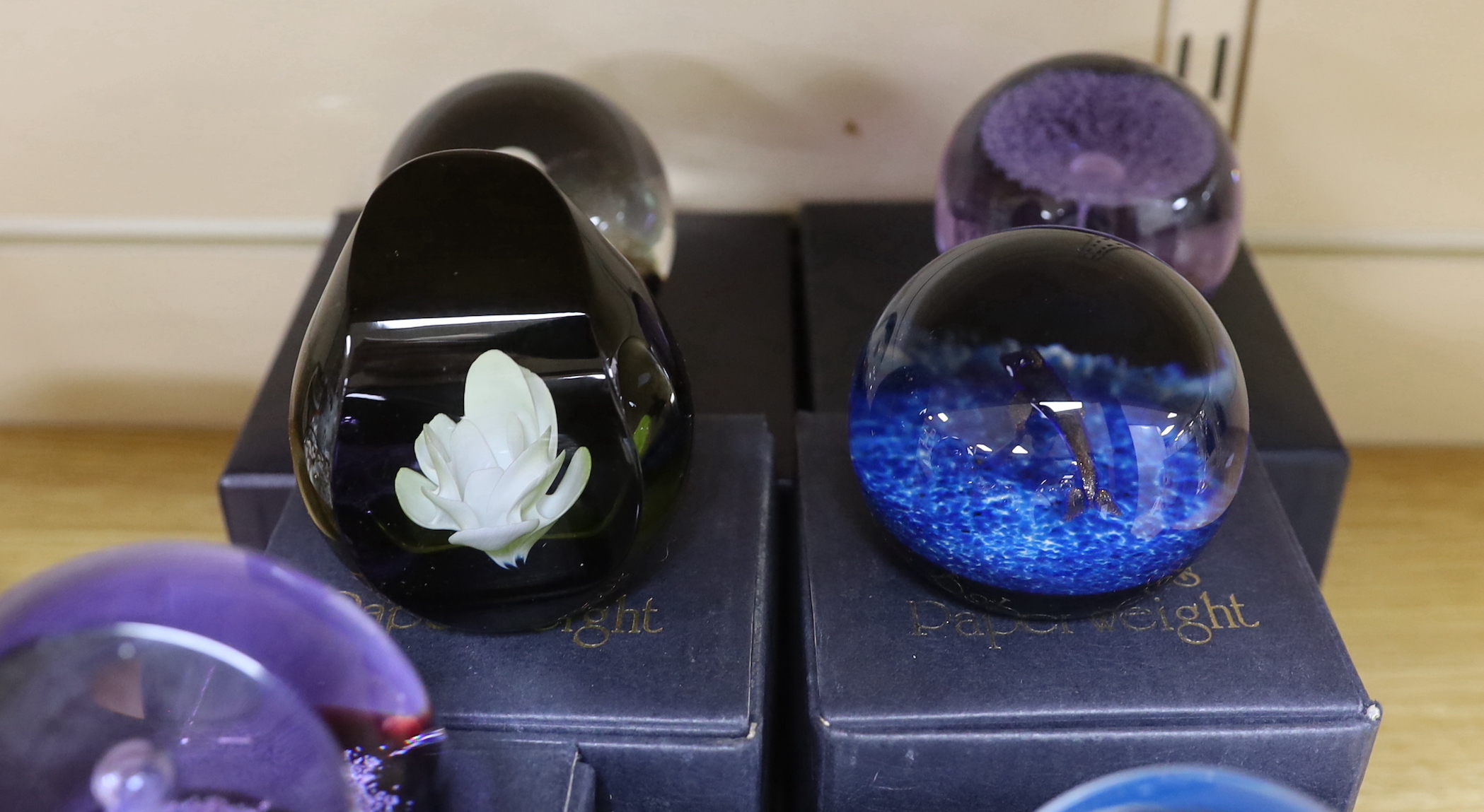 Eight Caithness paperweights, boxed, some limited edition - Image 4 of 5