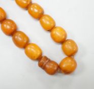 A single strand amber bead necklace, 36cm, gross weight 39 grams.