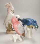 Two Royal Dux parrots and a Beswick parrot, the largest 40cm high